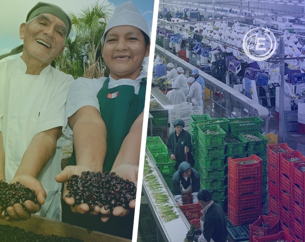 nosotros-ecotrader